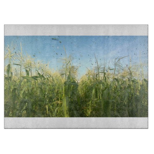 Land 40 Glasschneidebrett Schneidebrett (Vorderseite)