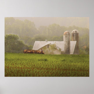 Land - Amish Poster