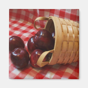 Land-Äpfel auf einer karierten Tischdecke Magnet