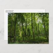 Land. Blackweir Woods, Bute Park, Cardiff, Wal Postkarte (Vorne/Hinten)