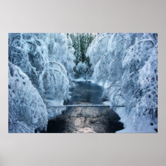 Land der Elfen Poster (Vorne)