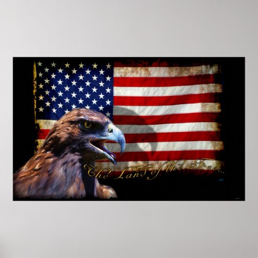 Land der Freien Patriotischen US-Flagge und Adler Poster (Vorne)