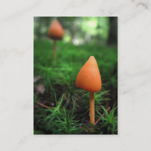 Land der Kleinen Leute ATC Visitenkarte