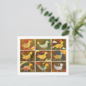 Land der Whimsikvögel Postkarte (Stehend Vorderseite)
