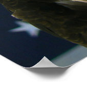 Land des freien Posters Poster (Ecke)