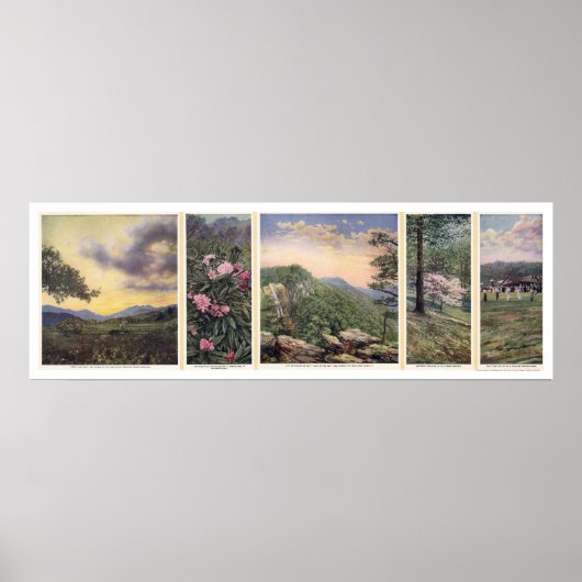 Land des Sky Poster 1917 (Vorne)