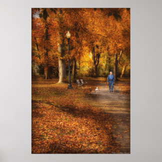 Land - Ein Spaziergang im Park Poster