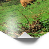 Land Frieden Fotodruck (Ecke)