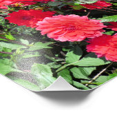 LAND GARDEN BLUME FOTODRUCK (Ecke)