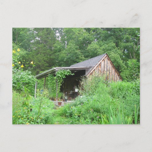 Land Herzog Store Postkarte (Vorderseite)