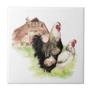 Land-Huhn-u. Hahn-Scheune, Bauernhof-Szene Fliese