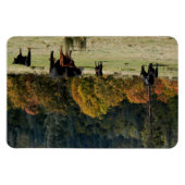 Land im Herbst... Magnet (Horizontal)