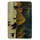 Land im Herbst... Magnet (Vertikal)