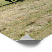 Land im Herbst... Poster (Ecke)