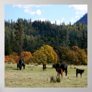 Land im Herbst... Poster