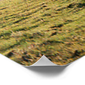 Land im Herbst...... Poster (Ecke)