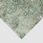 Land-Klassifikations-Karte von Nevada Seidenpapier (Ausschnitt)