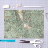 Land-Klassifikations-Karte von Nevada Seidenpapier (Handwerk)