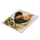 Land-Küchen-dekorative Wand-Fliesen-extravaganter Fliese (Seite)