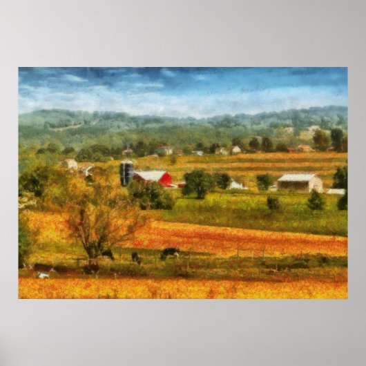 Land - Kühe Weiden Poster (Vorne)