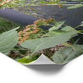 Land mit 10 000 Seen Poster (Ecke)