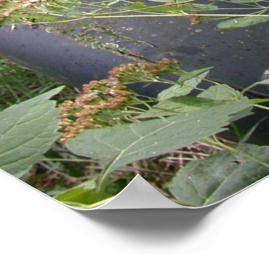 Land mit 10 000 Seen Poster (Ecke)