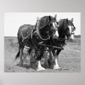 LAND MIT KLUDALPFERDEN POSTER (Vorne)