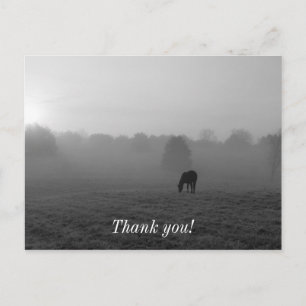 Land Morgen Graustufen Danke Postkarte