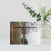 Land O"Lakes Lake Scene Postkarte (Stehend Vorderseite)