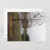 Land O"Lakes Lake Scene Postkarte (Vorne/Hinten)