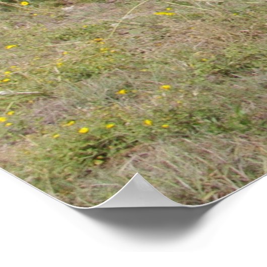 Land Oklahoma Poster (Ecke)