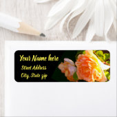 Land Peach-Rose (Insitu)