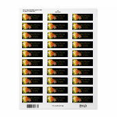 Land Peach-Rose (Vorne)