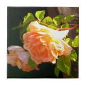 Land Peach-Rose Fliese (Vorderseite)