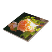 Land Peach-Rose Fliese (Seite)