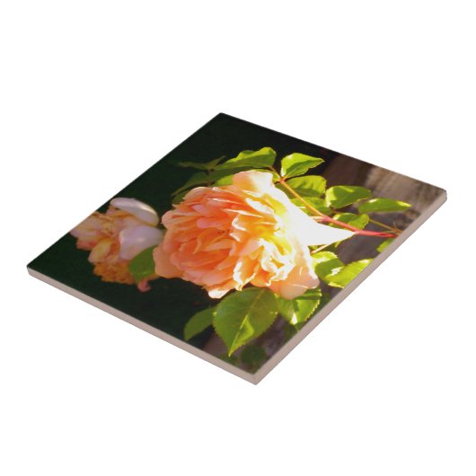 Land Peach-Rose Fliese (Seite)