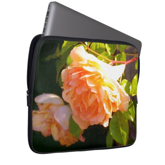 Land Peach-Rose Laptopschutzhülle (Vorne Rechts)