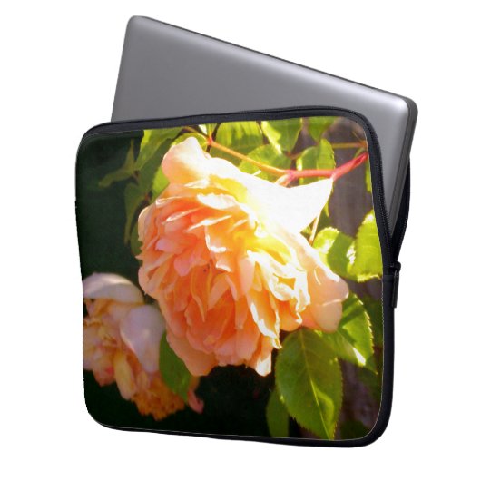 Land Peach-Rose Laptopschutzhülle (Vorderseite Links)