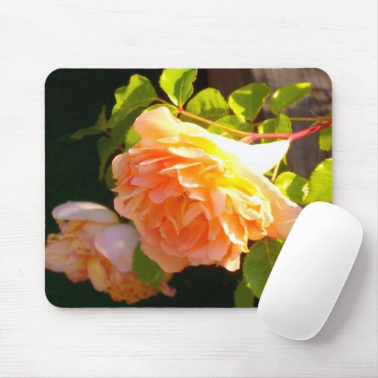 Land Peach-Rose Mousepad (Mit Mouse)