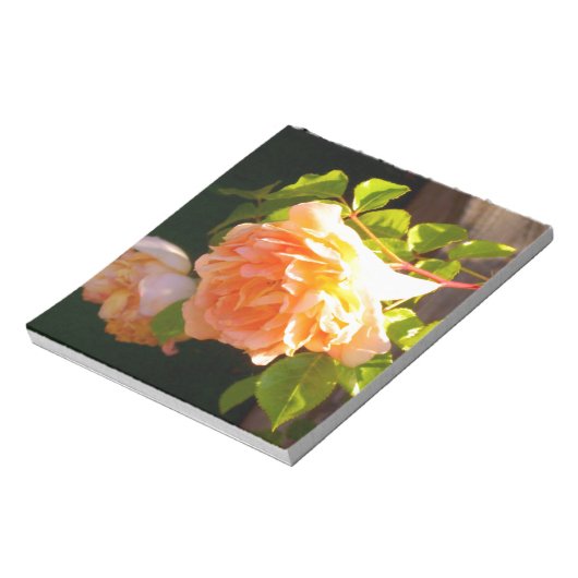 Land Peach-Rose Notizblock (Rotiert)