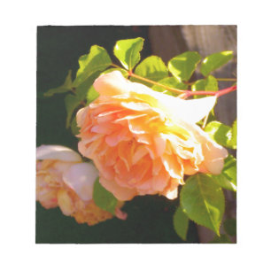 Land Peach-Rose Notizblock