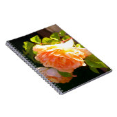 Land Peach-Rose Notizblock (Rechte Seite)