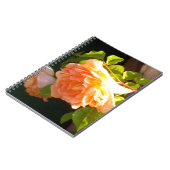 Land Peach-Rose Notizblock (Linke Seite)