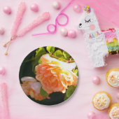 Land Peach-Rose Pappteller (Party)