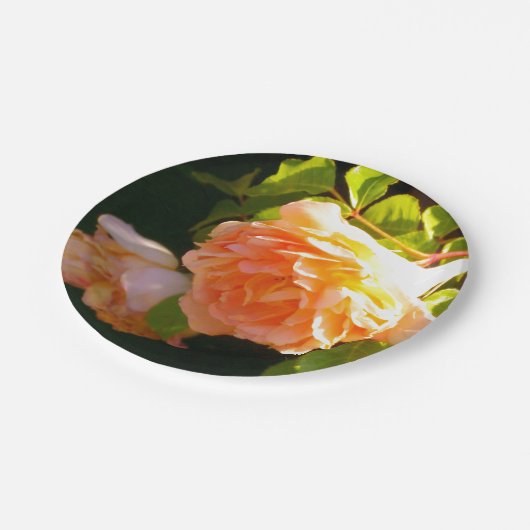 Land Peach-Rose Pappteller (Schrägansicht)