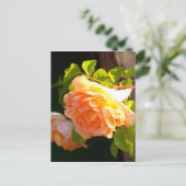 Land Peach-Rose Postkarte (Stehend Vorderseite)