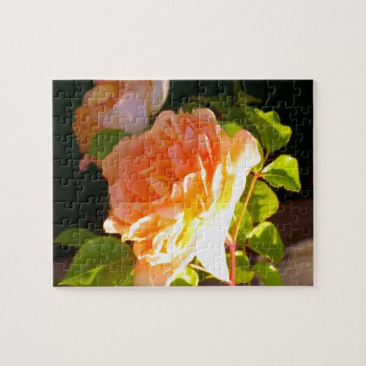 Land Peach-Rose Puzzle (Horizontal)