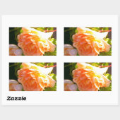 Land Peach-Rose Rechteckiger Aufkleber (Blatt)