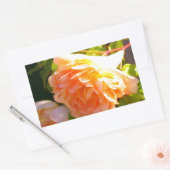 Land Peach-Rose Rechteckiger Aufkleber (Umschlag)