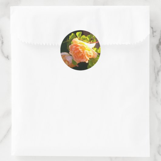 Land Peach-Rose Runder Aufkleber (Tasche)